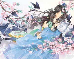 深入了解 女性全身精油Spa视频